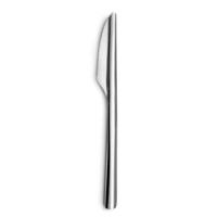 Messen Set Amefa Ecologic Slim Metaal Staal (12 Stuks)