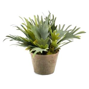 Kunstplant Staghorn varen - groen - in grijs betonlook pot - 38 cm