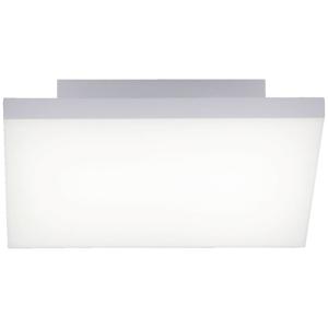 Paul Neuhaus Frameless 8490-16 LED-paneel 17 W Warmwit, Neutraalwit, Daglichtwit Wit