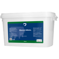 Excellent Mammi Allicin 48 st