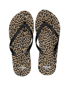 Slippers - Bruin