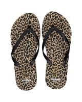 Slippers - Bruin Slippers - Bruin