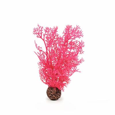 Hoornkoraal klein pink - Biorb