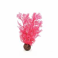 Hoornkoraal klein pink - Biorb