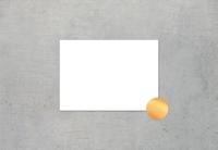 Fotokaart accolade liggend