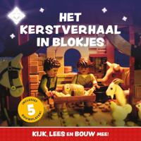 Het kerstverhaal in blokjes (Paperback)