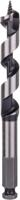 Bosch Accessoires Houtslangenboor, zeskant 16 x 100 x 160 mm, d 11,1 mm 1st - 2608585703