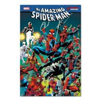 Poster Marvel Spider-Man Web 61x91,5cm