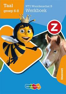 Z-Taal groep (Paperback)