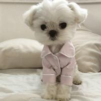 Hond kleren huisdier pyjama hond simulatie zijde pyjama maat: S (roze)