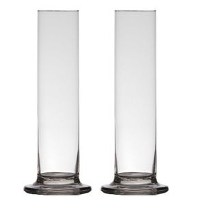 2x stuks transparante luxe stijlvolle smalle 1 bloem vaas/vazen van glas 30 x 6 cm