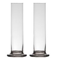 2x stuks transparante luxe stijlvolle smalle 1 bloem vaas/vazen van glas 30 x 6 cm