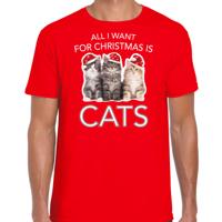 Kitten Katjes Kersttrui t-shirt - All i want for Christmas is cats - rood - voor heren - kleding