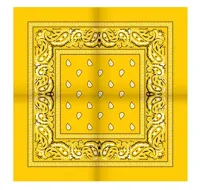 Boerenzakdoek Rain drop 54x54 - Rode zakdoek
