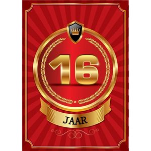 Luxe 16 jarige gefeliciteerd poster