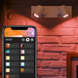 Philips Hue White and Color ambiance Argenta 2-lichts spotbalk