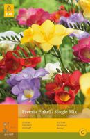 Freesia enkel/single mix 20st bloembol zomer JUB - Jub