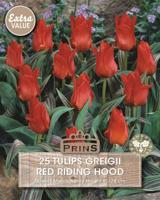 Prins tulp Red Riding Hood 25 bollen