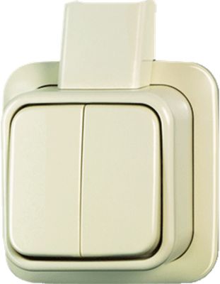 ABB Busch Jaeger schakelaar serie 2601/5apj mp ap