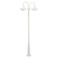 Albert Lantaarnpaal buitenLanor 2-lichts - wit - 682047