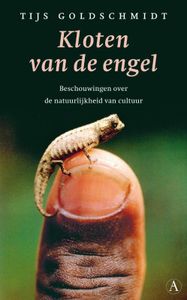 Kloten van de engel - Tijs Goldschmidt - ebook