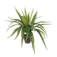 Mica Decorations Asplenium Kunstplant in Bloempot H54 cm