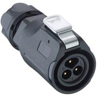 Lumberg 0251 02 Ronde connector Stekker, recht Totaal aantal polen: 2 1 stuk(s)