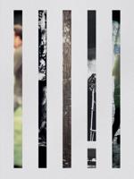 Patrick Ceyssens (Hardback)