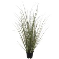 Louis maes Kunstplant - siergras - in zwarte kunststof pot - 50 cm