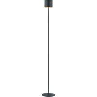 LED Vloerlamp - Musterring Loop - 1 Lichtpunt van 30 Watt - Dimbaar - Aanpasbare Lichtkleur - Geheugenfunctie - Afstandsbediening - Zwart/Goud - Metaal