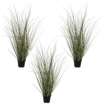 Louis Maes Pennisetum siergras - Set van 3x stuks - realistisch - zwarte pot - 50 cm Louis Maes Pennisetum siergras - Set van 3x stuks - realistisch - zwarte pot - 50 cm