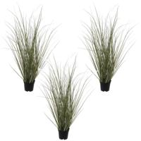 Louis Maes Pennisetum siergras - Set van 3x stuks - realistisch - zwarte pot - 50 cm