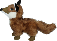 Wild Life Dog Fox Wild Life Dog Fox