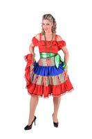 Mexicaanse Inca