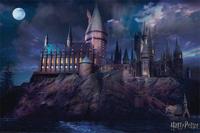 Poster Harry Potter - Hogwarts 91,5x61cm