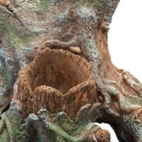 Sf scapers wood planty l - Superfish