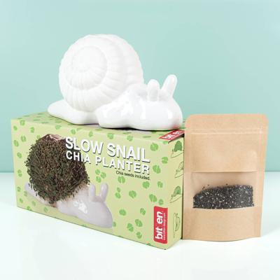 Slak bloempot met zaadjes Slak bloempot met zaadjes