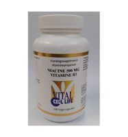 Vitamine B3 niacine 500 mg - thumbnail