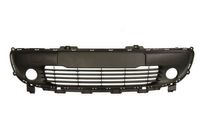 Ventilatiegrille, bumper 6502076004910P