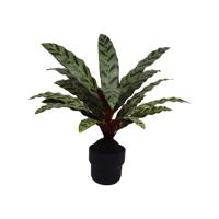 Calathea insignis 55 cm kunstplant Buitengewoon de Boet - Buitengewoon de boet