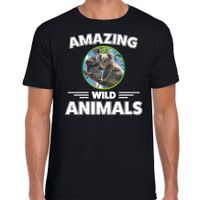 T-shirt koalaberen amazing wild animals / dieren zwart voor heren