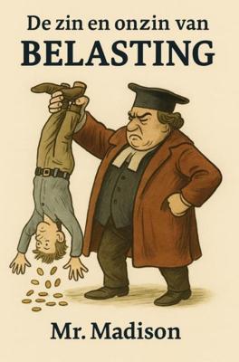 De zin en onzin van Belasting - Mr. Madison - ebook