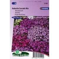 Aubrieta x Cultorum zaden Cascade mix Blauwkussen - thumbnail