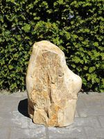 Fossiel hout PU-19, 45 cm
