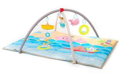Seaside pals baby gym