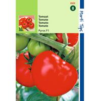 2 stuks Tomaten Pyros F1 - thumbnail