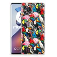 Motorola Edge 30 Fusion | TPU Hoesje | Birds
