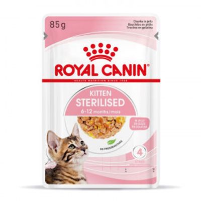 Royal Canin Kitten Sterilised natvoer kat (in gelei) 1 doos (12 x 85 g)