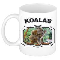 Dieren koala beker - koalas/ koalaberen mok wit 300 ml