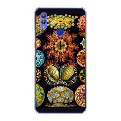 Haeckel Ascidiae: Honor Note 10 Transparant Hoesje